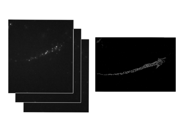 Images from the dataset on the left, Constructed image on the right.